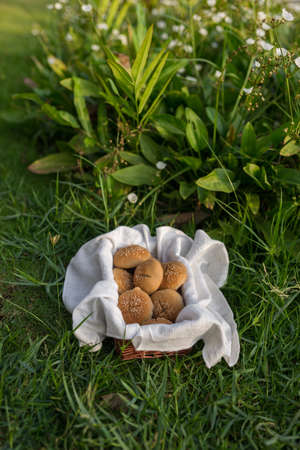 Composition of white flour buns in basket with white white cloth napkin on the green grass. high quality photoの写真素材