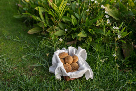 Composition of white flour buns in basket with white white cloth napkin on the green grass. High quality photoの写真素材