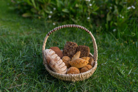 Assorti of tasty fresh brown and white homemade bread with the seeds in wicker basket standing on the green grass. High quality photoの写真素材