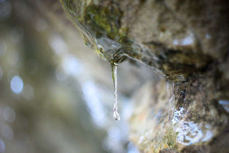 water dropの写真素材