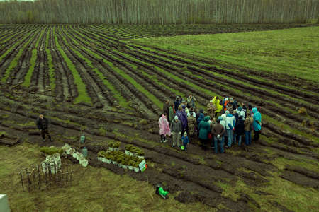Novosibirsk, Russia - 05.26.2018: People plant trees on the field in beds dug with even parallel lines to make the ecology better and the air cleaner. Aerial photography with quadrocopter.のeditorial素材