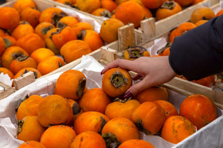 A woman chooses food while shopping in a mall in the fruit department holding an persimmon of bright orange color in her hand among a lot of ripe products.の写真素材