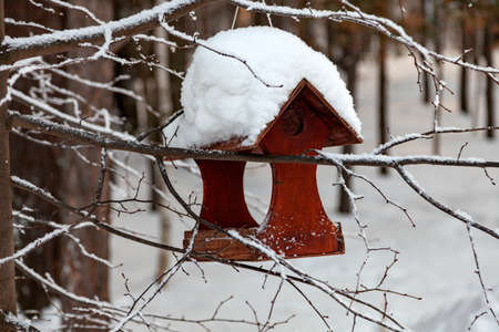 Close-up of a wooden birdhouse bird feeder covered with a large layer of snow on a clear winter day in a forest suspended from a treeの写真素材