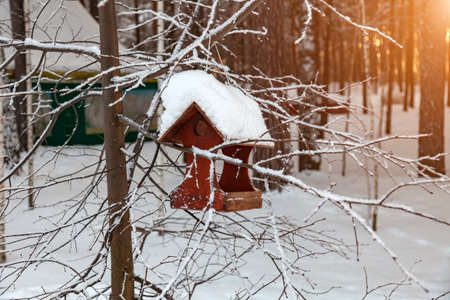 Close-up of a wooden birdhouse bird feeder covered with a large layer of snow on a clear winter day in a forest suspended from a treeの写真素材