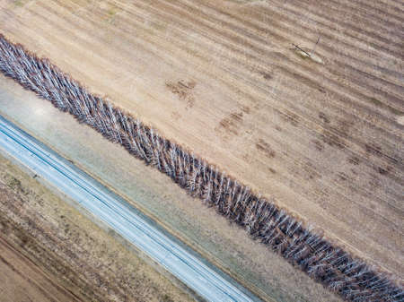 Aerial view of the asphalt road in a field with yellow grass during planting seeds and crops far from big cities on a clear spring day under a blue sky with trees to protect from the wind.の写真素材