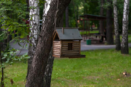 A wooden birdhouse in which the birds live, are painted creatively in different colors against the...