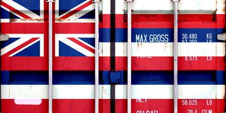 The national flag of the US state Hawaii in a container doors on the day of independence in different colors of blue red and yellow. Political and religious disputes, customs and delivery.の写真素材