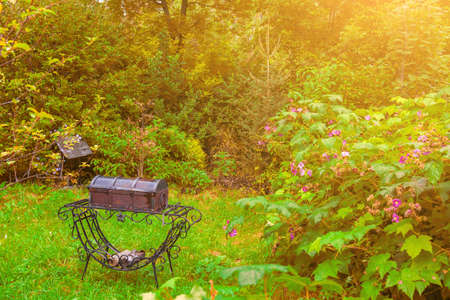 Old retro metal closed wrought iron barbecue with firewood for cooking in a yellow flowered garden...