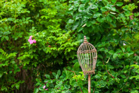 Old vintage bronze cage for birds in a green flowered garden on a background of leaves on a summer clear day. Wedding decor and decorations in the courtyard of the house.の写真素材