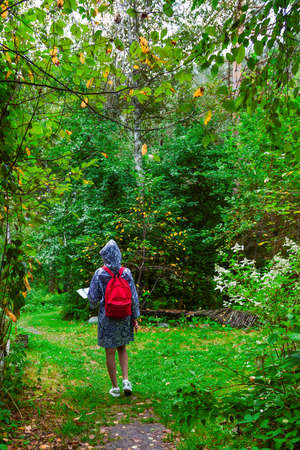A view from the back of a young blonde girl in a blue raincoat with a red backpack on her back, a phone in her hand walks along a path and looking to the map in a park or forest. Travelling in wild.の写真素材