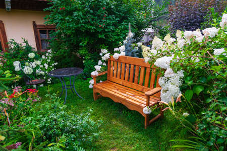 Blooming garden in the courtyard of a country house with a wooden bench, large white flowers around...