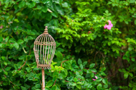 Old vintage bronze cage for birds in a green flowered garden on a background of leaves on a summer clear day. Wedding decor and decorations in the courtyard of the house.の写真素材