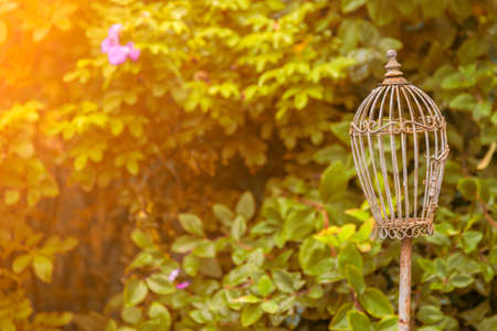 Old vintage bronze cage for birds in a Yellow flowered garden on a background of leaves on a indian summer in autumn clear day. Wedding decor and decorations in the courtyard of the house.の写真素材