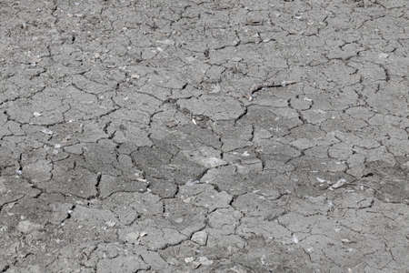 A close-up of cracked asphalt due to reconstruction and repair of the roadbed - the old layer is...