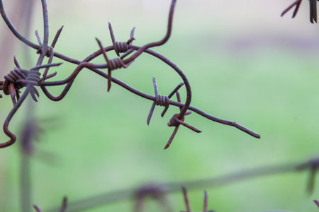 Spikes of wound old iron wire with sharp edges on a metal fence on a background of green grass. Self-isolation and danger zone, private protected area.の写真素材