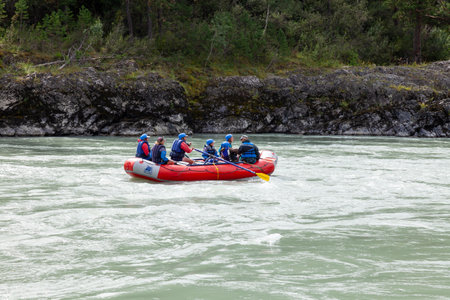 Novosibirsk, Russia - 08.14.2020: A team of people rafting in orange life jackets on rubber boat of blue and yellow colors along a mountain river against the background of a rocky shore with a forestのeditorial素材