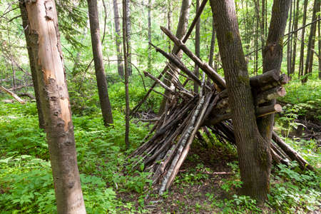 Survival shelter in the woods from tree branches. Cone or pyramid shape shelter.