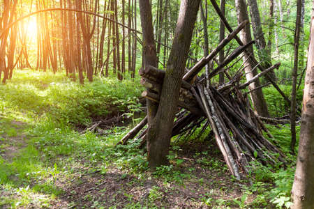 Survival shelter in the woods from tree branches. Cone or pyramid shape shelter.