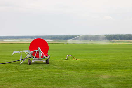Sprinkler watering agricultural field in the sun Irrigation plant in agriculture under bright sunlight. Agriculture watering spray fieldの写真素材