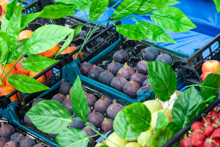 Figs For Sale In Market. Turkish Bazaar for tourists in Kemer.の写真素材