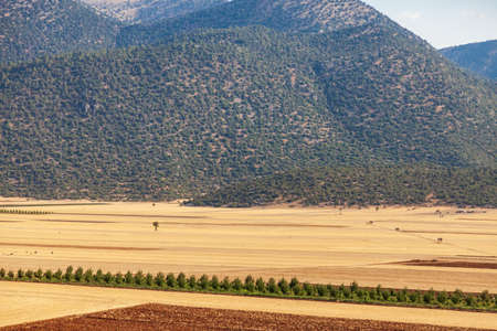 Yellow dry valley with freshly harvested hay bales, other green fields, mountains and blue sky. Dots of dark green tree foliage. Agriculture and farming in Turkey.の写真素材