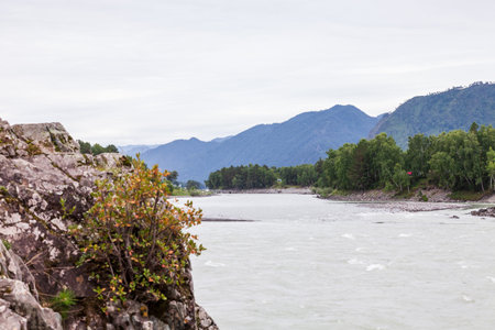 Scenic views of the Turquoise Katun river and the Altai mountains in autumn, Russia. beautiful...