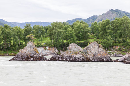 A fast-flowing wide and full-flowing mountain river. Large rocks stick out of the water. Big mountain river Katun, turquoise color, in the Altai Mountains, Altai Republic. Place the Dragon's Teeth.の写真素材