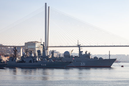 Vladivostok, Russia - 11, 03, 2022: The warships of the Pacific Fleet - the destroyer, cruiser,...