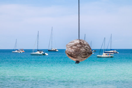 Close-up on a coconut hanging on a rope against the backdrop of yachts and blue sea water in Thailand. The concept of travel and tourism in the hot countries of Asia.の写真素材