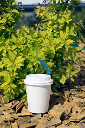 Coffee paper cup stands near green bush on wooden sticks on a day lightの写真素材