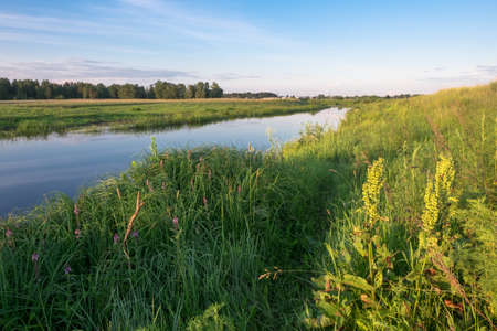 The river in the village in summer sunset time. Russia natureの写真素材