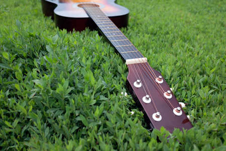 Acoustic guitar lying in the green grass in summer in daylightの写真素材