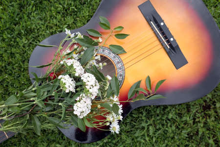 Acoustic guitar and wild flowers are in green grass in summer in daylight. Phloxの写真素材