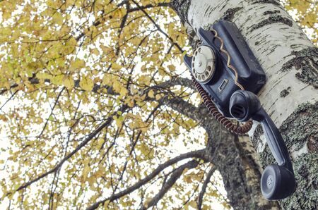 old broken phone on the autumn streetの写真素材