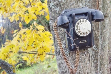 old broken phone on the autumn streetの写真素材
