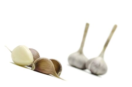 head and cloves of garlic on a white background