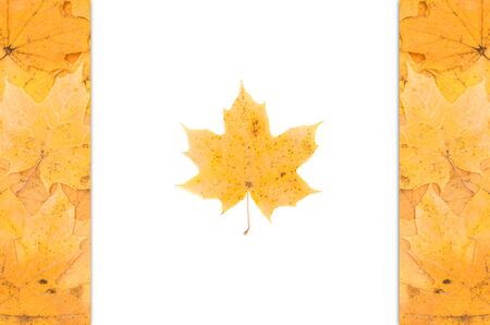 Canadian flag of yellow maple leavesの写真素材