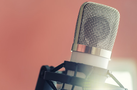 condenser microphone on the background of the included safit