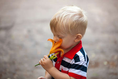 little boy smelling a fresh spring flower lilyの写真素材