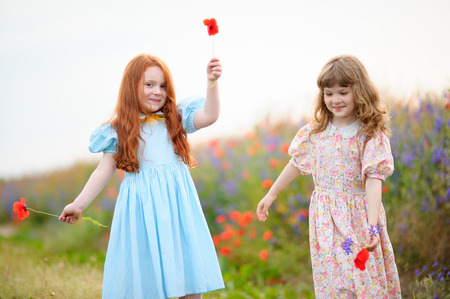 Two cheerful girls playing with flowers in a summer field.の写真素材