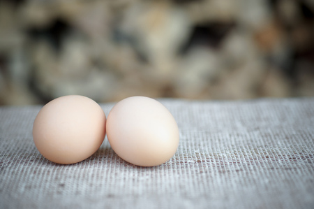 fresh eggs from the chicken coopの写真素材