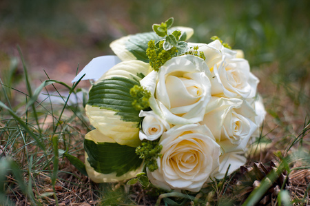 bridal bouquet of white roses on the grassの写真素材
