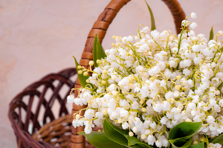 Lilies of the valley in the basketの写真素材