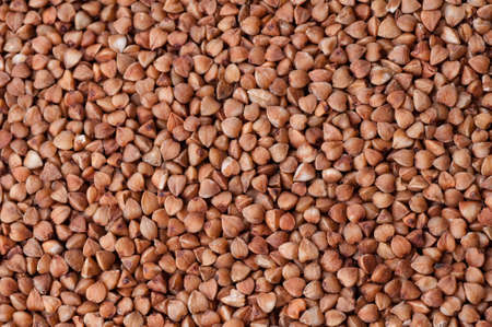 fresh buckwheat. dry buckwheat background.