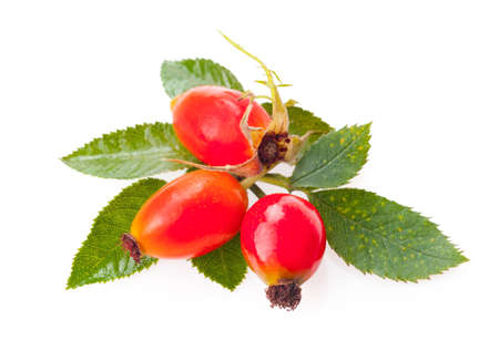 rose hip berry with leaf isolated on white background.