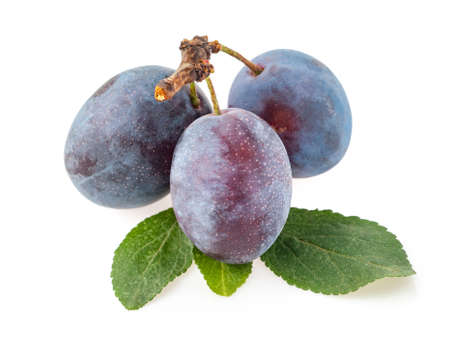 Plums with leaf fruits fruit isolated on a white backgroundの写真素材