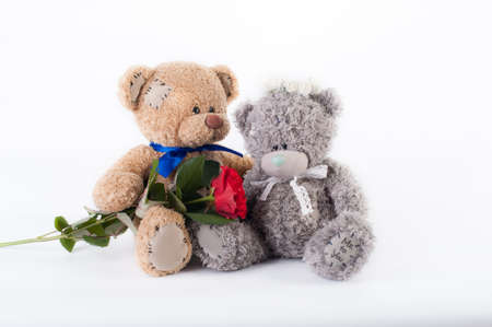 two Teddy bear and roseの写真素材