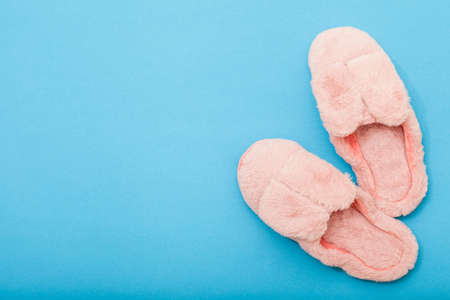 Domestic shoes with dwarf ears. On plain
background with place for text.の写真素材