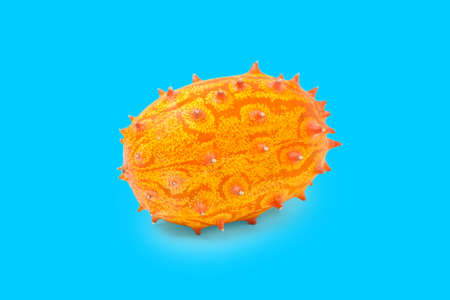 Kiwano or African horned melon isolated on blue background. Hedge pumpkin, English tomato, African...