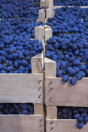 Ripe grapes in wooden boxes. Local produce at the autumn farmers' market. High quality photo
